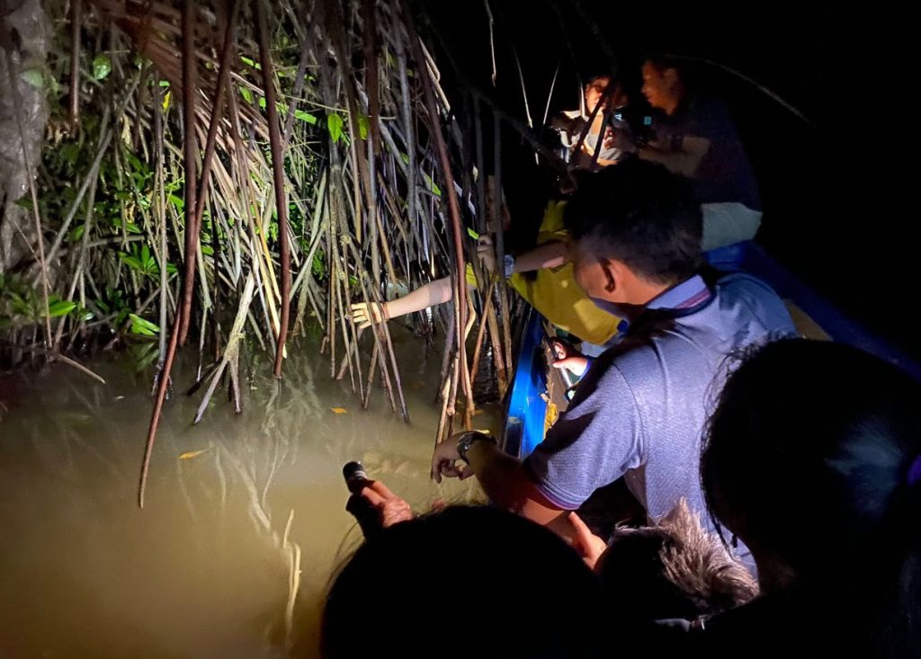 Hòa Mình Vào Nhịp Sống Đêm Của Người Dân Sông Nước