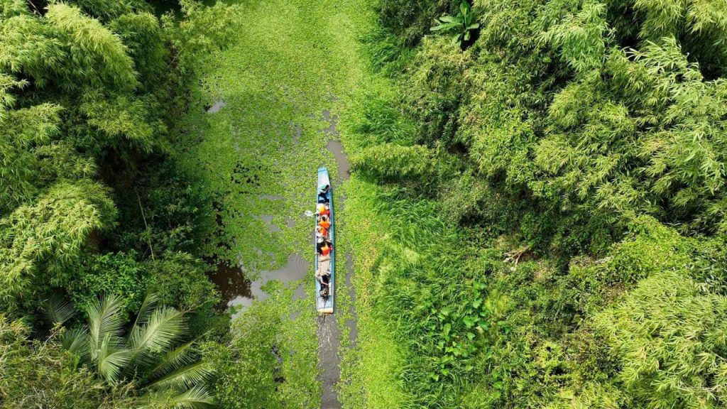 Khung cảnh thiên nhiên xanh mát