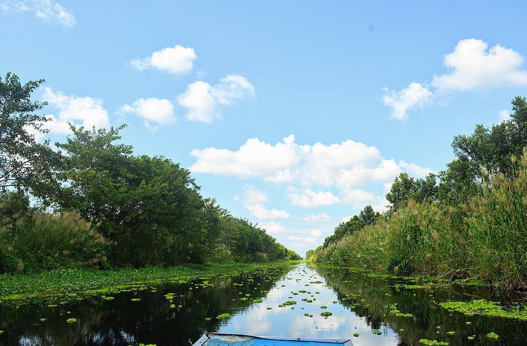 Vườn quốc gia U Minh Thượng