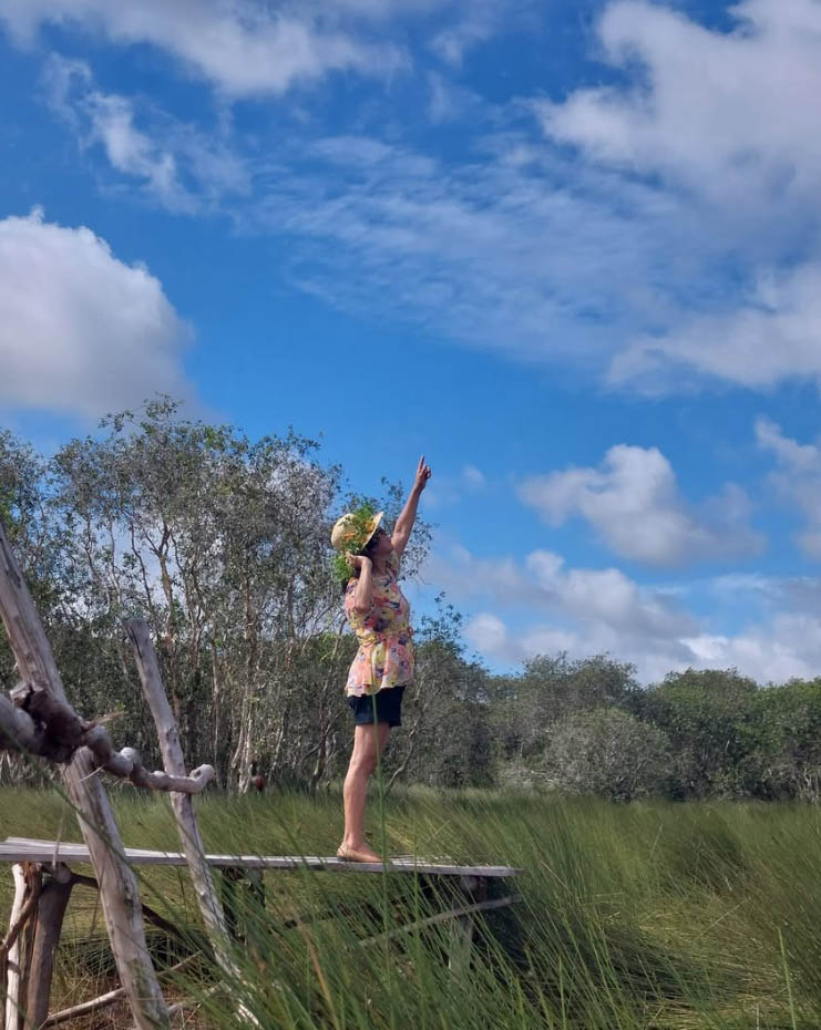 Cánh đồng cỏ bàng