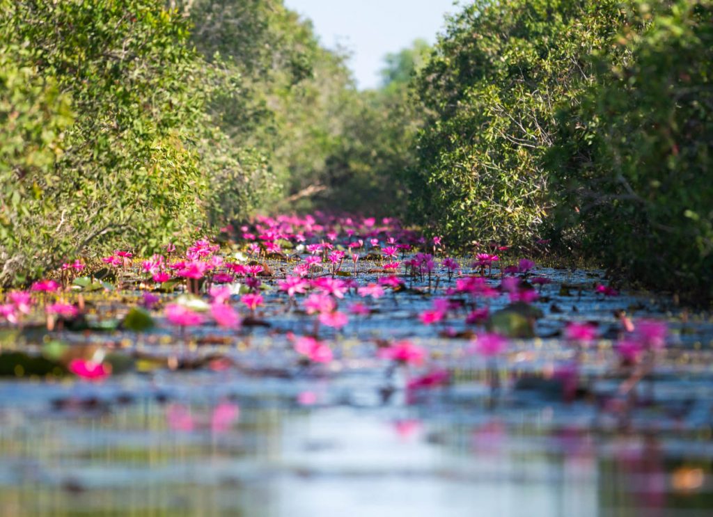Khu du lịch Cánh Đồng Bất Tận