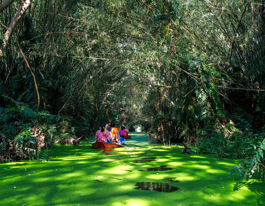 Khu bảo tồn Đồng Tháp Mười