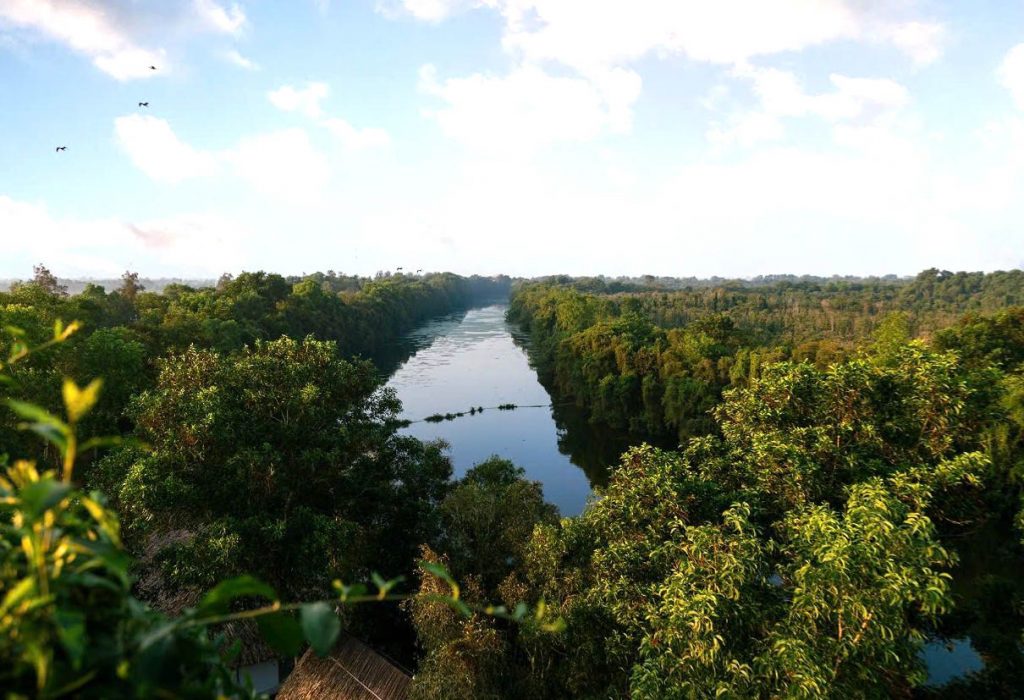 Khu Bảo Tồn Đồng Tháp Mười 