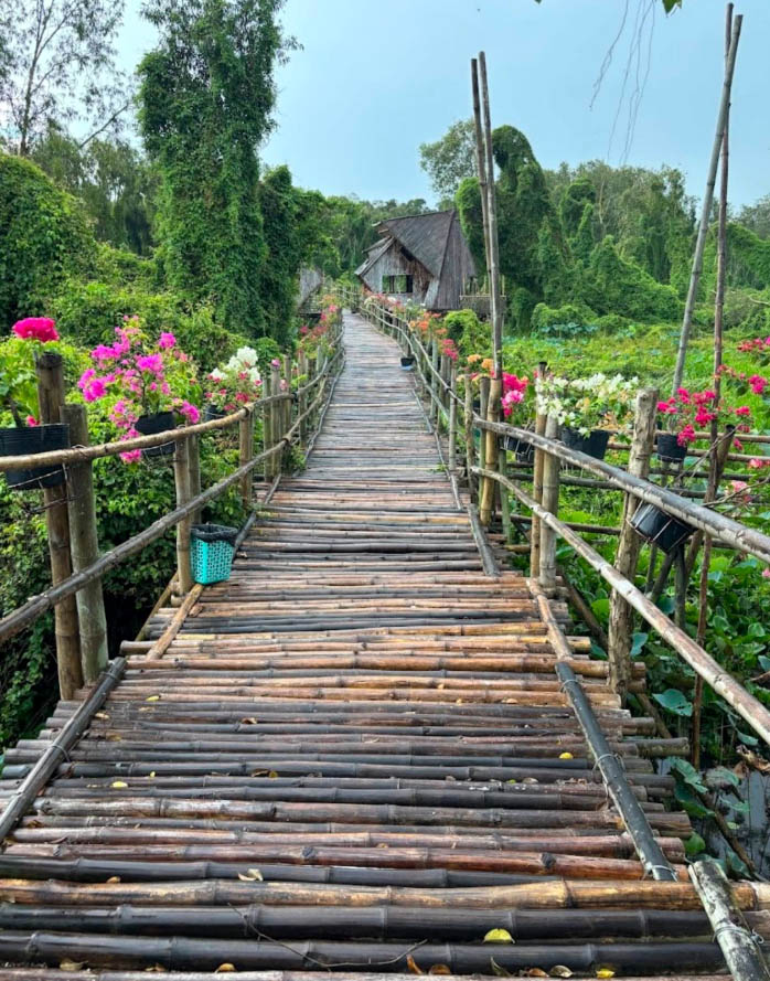 Cầu tre xuyên rừng