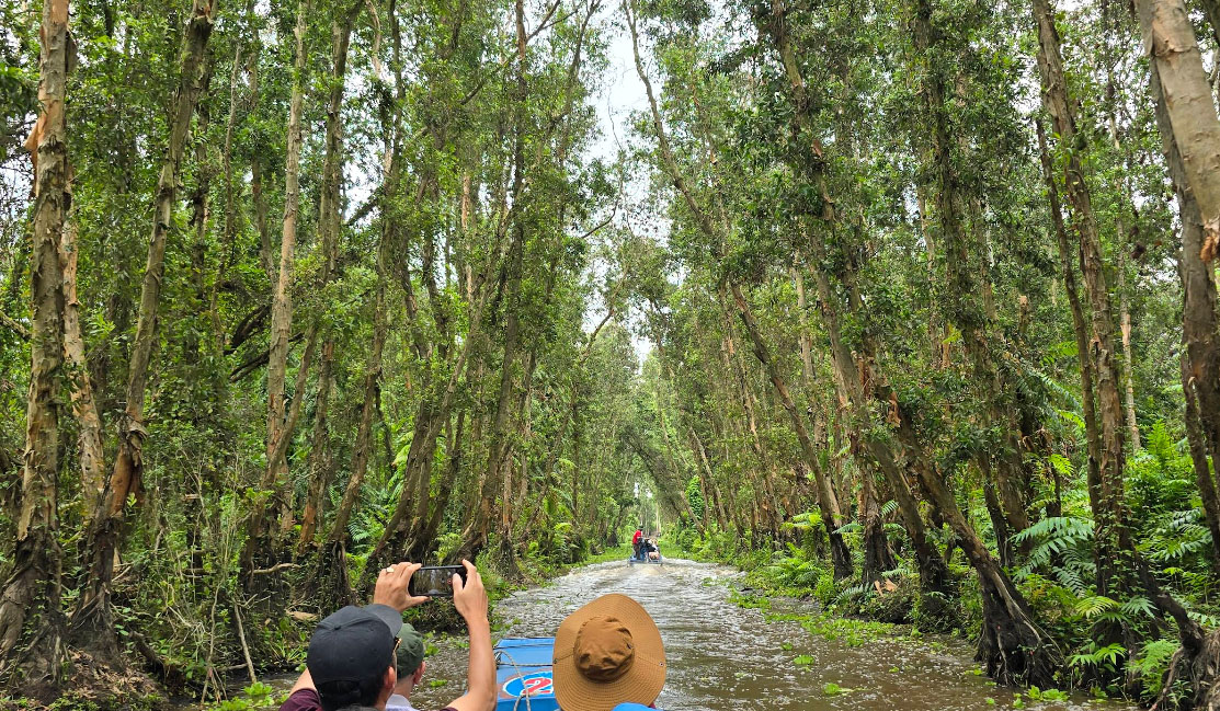 Rừng Tràm Trà Sư 