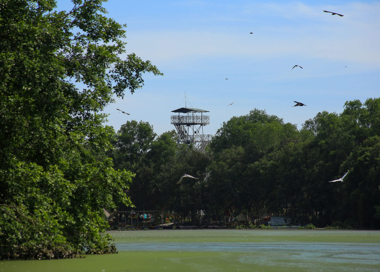 Khu Bảo tồn sinh thái Đồng Tháp Mười