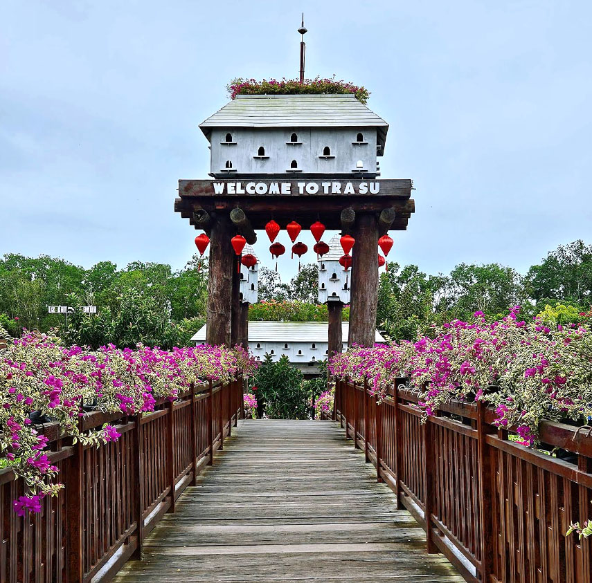 Rừng Tràm Trà Sư