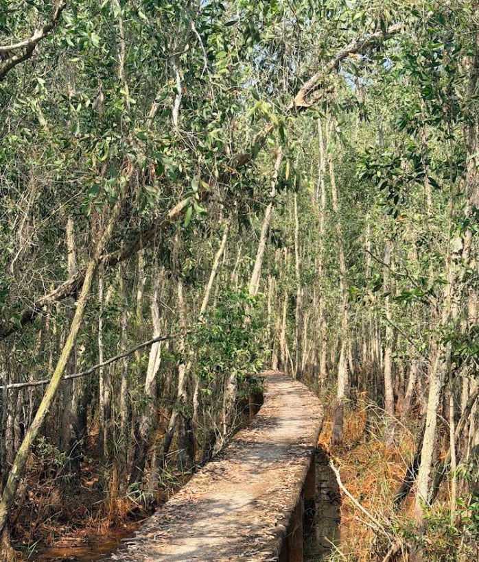 Làng Nổi Tân Lập