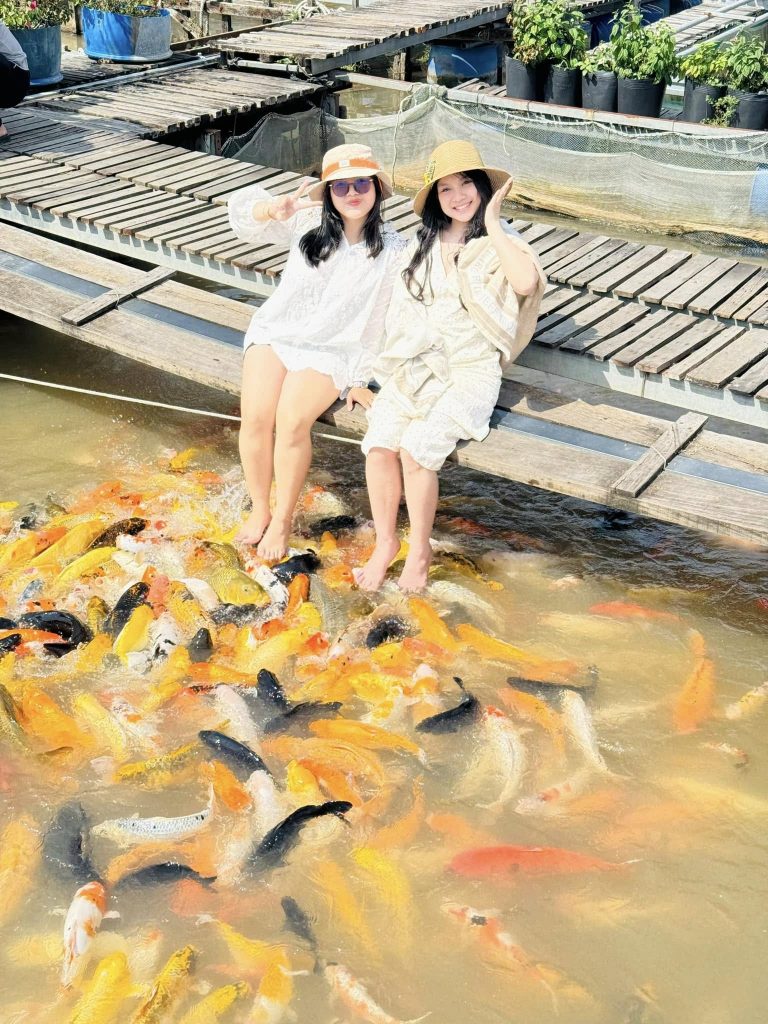 Cồn Sơn