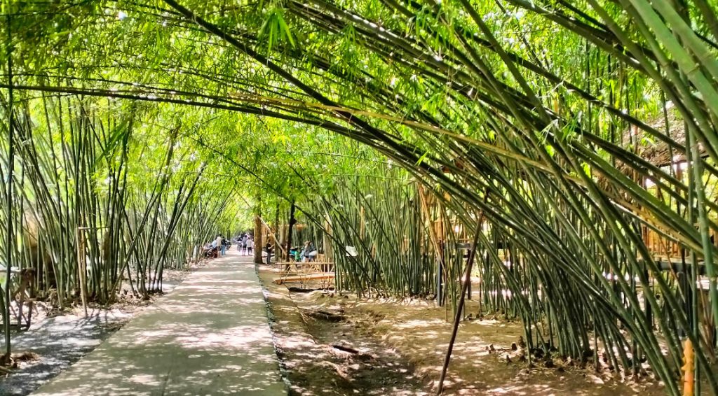 Vườn Tre Tư Sang
