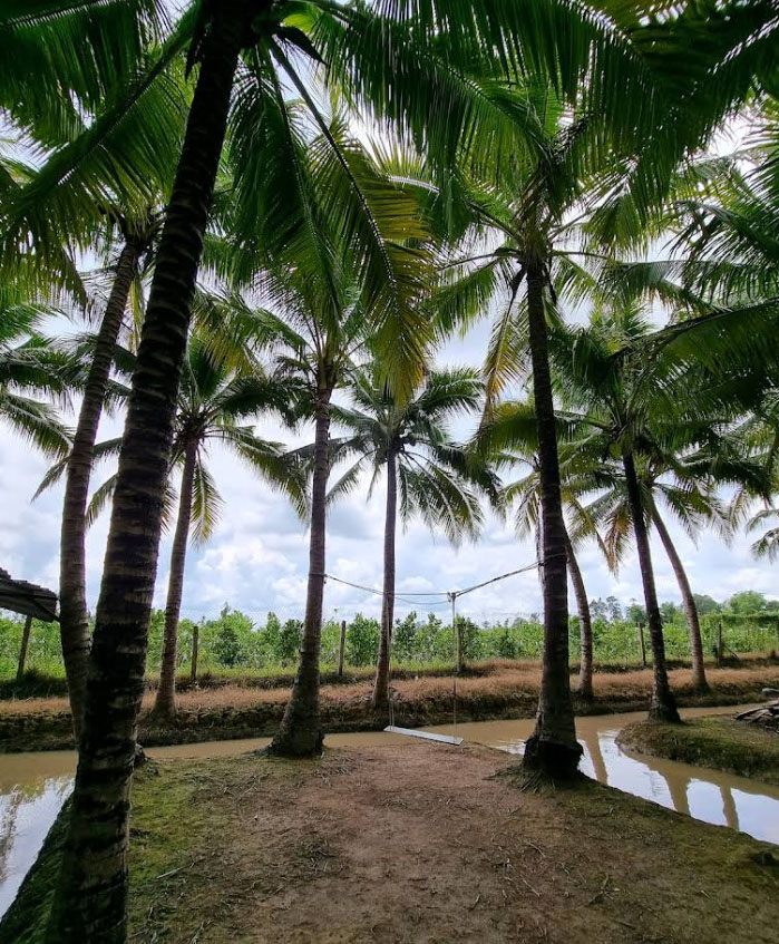 Cù Lao Tân Lộc