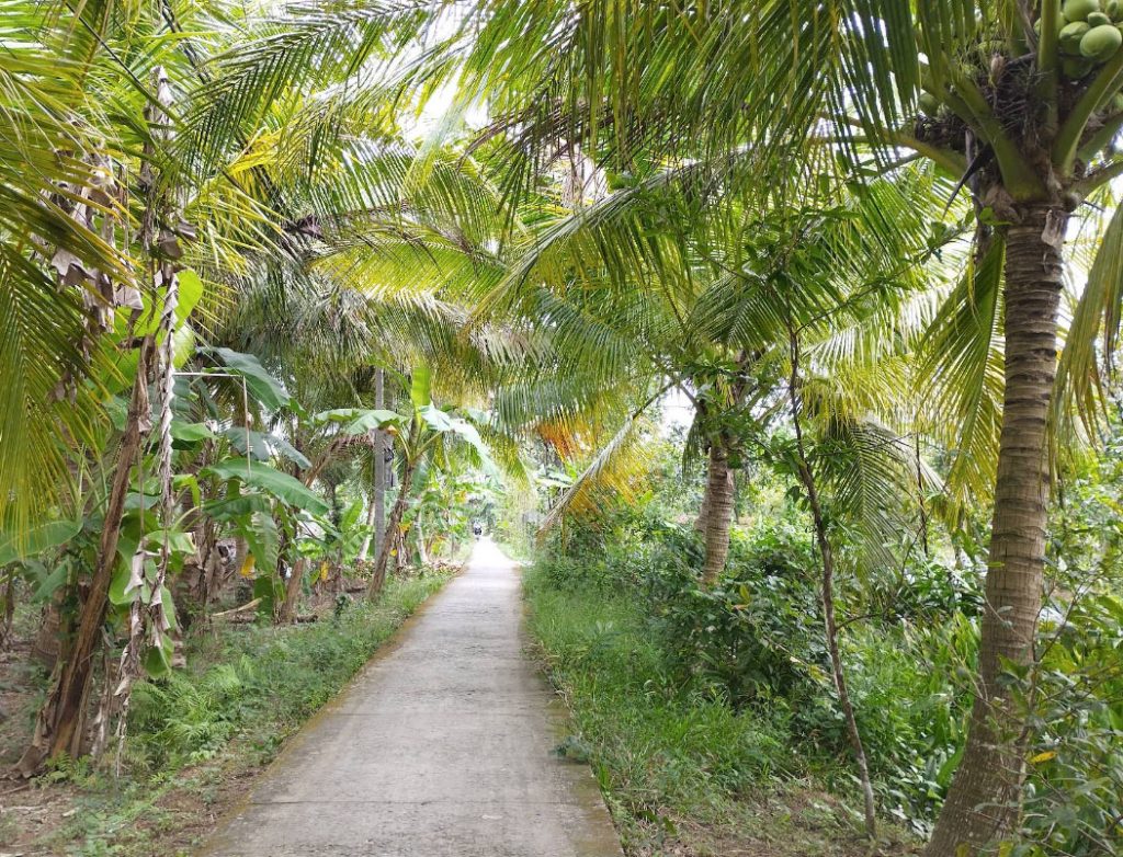 Cù Lao Tân Phong