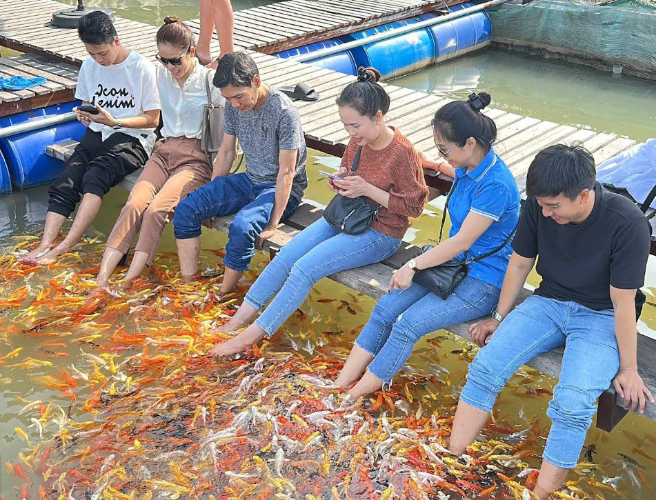 Cồn Sơn