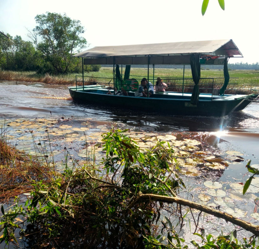 Đi xuồng giữa rừng tràm